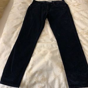 Velvet Jeans